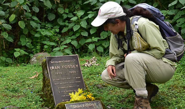 The Dian Fossey Grave