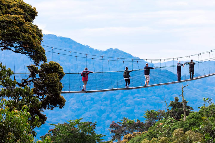 Nyungwe National Park