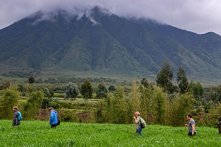 Volcanoes National Park, Rwanda